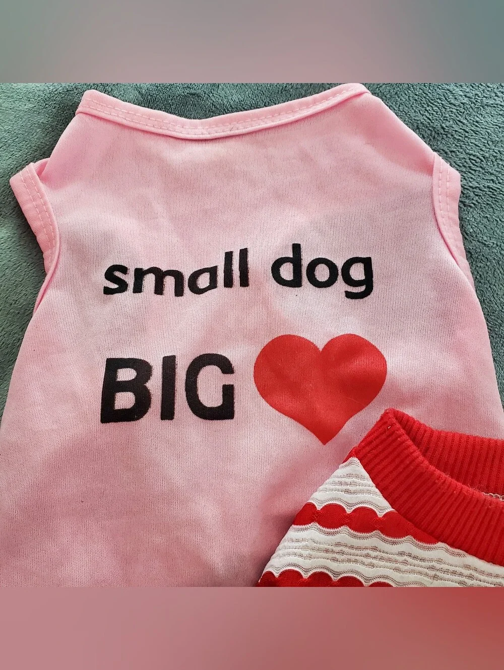 Dog Tshirts Bundle - 3 Pack - Small